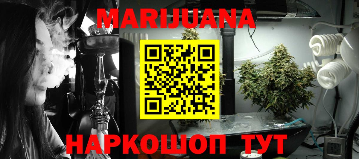 Конопля конопля Кизилюрт